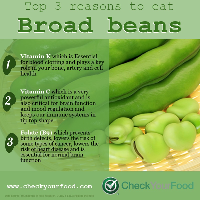 The Health Benefits Of Broad Beans Fava Beans