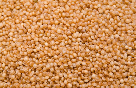 Amaranth grain Nutrition Facts | Calories in Amaranth grain