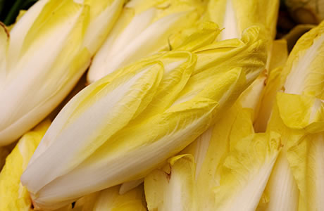 Endive Nutrition Facts and Health Benefits