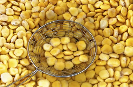 Lupin seeds nutritional information