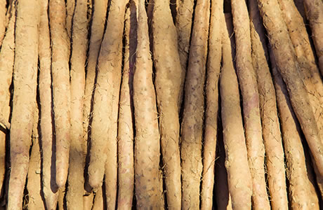 Mountain yam nutritional information