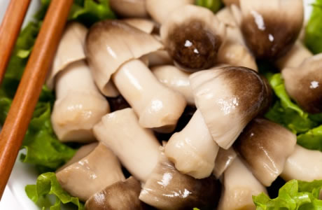https://www.checkyourfood.com/content/blob/Ingredients/Straw-mushrooms-tinned-nutritional-information-calories.jpg