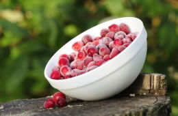 Cranberries - frozen nutritional information